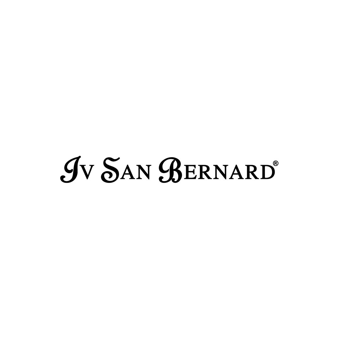 IV SAN BERNARD SRL